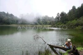 Muncul embun es di kawasan Bromo, TNBTS pastikan tak ganggu aktivitas wisata