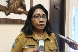 Dinkes Jayawijaya dorong penanganan HIV bagi nakes di 18 puskesmas