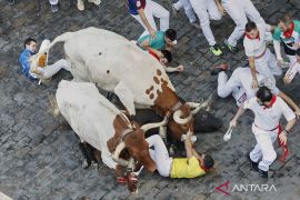 Peserta diseruduk banteng mewarnai atraksi Festival San Fermin di Spanyol