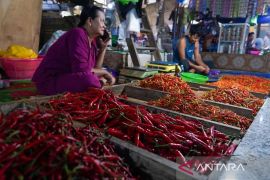 Harga pangan Jumat ini, cabai rawit Rp61.963/kg dan bawang merah Rp43.903/kg