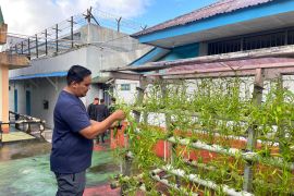 Rutan Ambon ajarkan  kemandirian pangan pada warga binaan