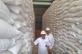 Penerima bantuan pangan di Aceh Besar 41.193 PBP