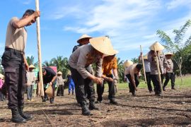 Polres Pasaman Barat komunikasi dengan Bulog agar tampung jagung petani