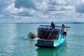Kalsel kemarin dari beasiswa 1.000 sarjana hingga pemulihan ekosistem laut