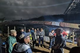 BBTNBBS telusuri pergerakan harimau pemangsa seorang warga di Lampung Barat