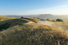 Subaru bakal debutkan EV anyar dinamai seperti "video game"