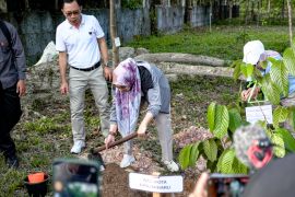 Wali Kota Banjarbaru ajak lestarikan hayati lewat tanam pohon