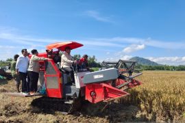 Wamentan paparkan langkah wujudkan swasembada pangan dan stop impor