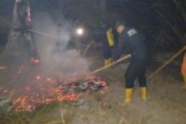 9 hektare lahan terbakar akibat karhutla di Padang Lawas