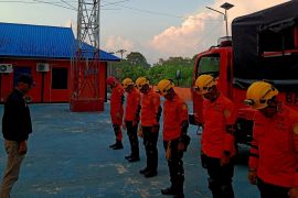 Tiga pencari gaharu hilang di hutan Natuna