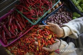 Harga pangan Sabtu ini, cabai rawit Rp63.071/kg dan bawang merah Rp42.310/kg