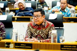 Bapanas usulkan Rp16,10 triliun, perkuat ketahanan pangan pada 2026