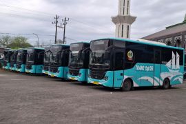 Bus Trans Sulsel mulai layani rute Mamminasata