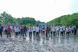 Transjakarta tanam 15 ribu mangrove