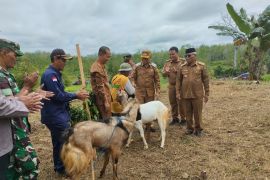 Desa Uwie Tabalong siapkan dua hektare lahan dukung ketahanan pangan