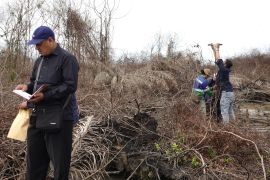 KLH menang gugatan, PT BKI bayar ganti rugi lingkungan Rp282,8 miliar
