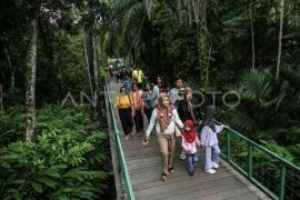 Kalteng sudah terima DBH kehutanan 2025, berikut besarannya