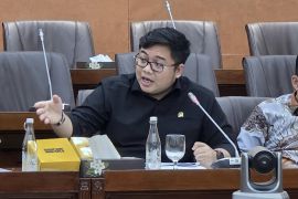 Anggota DPR: Pemberian abolisi dan amnesti bukti Presiden berjiwa besar