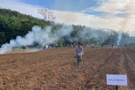 DPKP Kalsel olah lahan pusat olahraga jadi kawasan pertanian