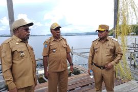 Pemkab Jayapura beri bantuan 35 ribu bibit ikan enam kampung