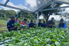 Pertamina hadirkan Wayame Hydro Bae di Ambon guna tingkatkan ekonomi masyarakat