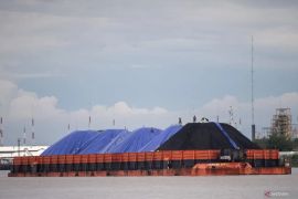 Tidak terpengaruh demo, Harga batu bara periode I September naik