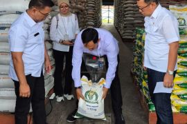 Bulog salurkan  158 ribu ton beras SPHP di Jateng