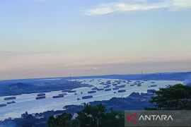 Produksi batu bara Kaltim  tak berdampak meski ekspor anjlok