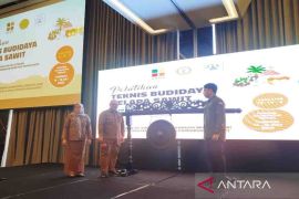 BPDP-Ditjen Perkebunan bersama PT SIB gelar pelatihan teknis budi daya kelapa sawit