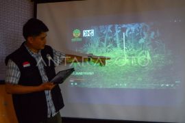 Penemuan spesies langka kelinci belang Sumatera Page 2 Small