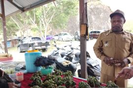 Pemkab Jayapura tata pasar guna kembalikan fungsi aktivitas perekonomian