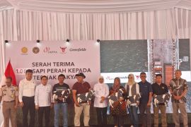 Kementan: Kolaborasi pemerintah-swasta penting untuk swasembada susu