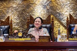 Puan minta penetapan Hari Kebudayaan 17 Oktober tidak tuai polemik