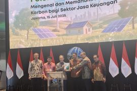 OJK: Pemahaman penting untuk dorong partisipasi SJK di pasar karbon