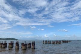 Tanah Bumbu budgets Rp100 billion for Batulicin-Kotabaru bridge