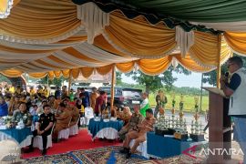 Lomba Balap Jetor Ramaikan HUT ke-17 Labura, Ketua DPRD Usul Jadi Hari Libur Daerah