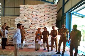 Pemkab Buol pastikan stok beras di Bulog capai 764 ton