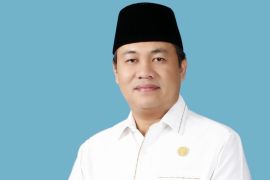 Anggota DPR: Hilirisasi pertambangan harus efisien dan bernilai tambah
