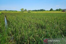 Pemerintah bangun sumur bor untuk para petani di Natuna