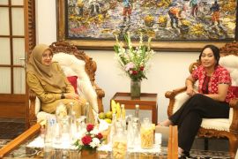 Utusan Khusus Presiden eksplorasi wisata Banyuwangi