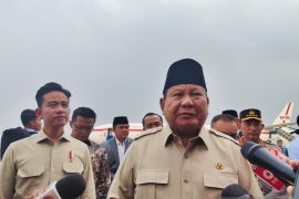 Indonesia, Brazil seek ways to optimize bilateral cooperation