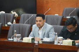 Anggota DPR dukung pajak "e-Commerce"asal tak bebani konsumen