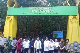 Bangka Tengah siapkan kios khusus madu pelawan di KDMP Namang