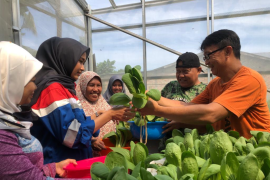 Ini yang dilakukan Pertamina hingga raih 7 penghargaan