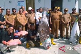 Dinas Perikanan Biak siap kirim ikan ke Papua Pegunungan