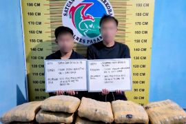 Satres Narkoba Polres Pasaman gagalkan peredaran 21 paket besar Ganja