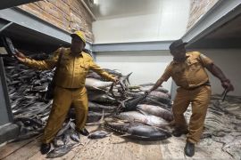 Pemprov Papua Pegunungan dorong warga konsumsi ikan mencegah stunting