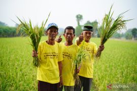 Pupuk Kaltim raih penghargaan internasional, bukti program berkelanjutan di Gowa