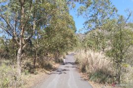 BBMKG Denpasar minta warga waspadai potensi kebakaran lahan musim kemarau