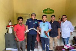 49.000 Anggota Koperasi Sejahtera Bersama PTPN IV PalmCo